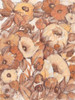 Umber Garden I Poster Print - Tim OToole