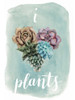 Life is Succulent II Poster Print - Grace Popp