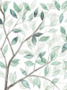 Leaf Lace I Poster Print - Grace Popp
