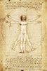 Da Vinci Vitruvian Man Poster Print Poster Poster Print - Item # VARXPSAP104