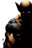 Wolverine - Shadow Poster Print - Item # VARTIARP5892