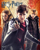 Harry Potter Trio Poster Poster Print - Item # VARGBEMP1341