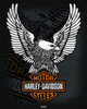 Harley Davidson - Eagle Poster Poster Print - Item # VARPYRMPP50366
