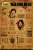 Walking Dead Infographic Poster Poster Print - Item # VARXPE160509