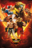 Street Fighter V - Group Poster Print - Item # VARTIARP15787