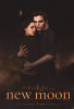 Twilight Saga: New Moon Poster Poster Print - Item # VARPYRPAS0099
