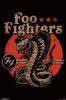 Foo Fighters - Cobra Poster Print - Item # VARTIARP16680