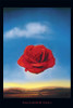 Salvador Dali Rose Poster Print Meditative Rose Poster Poster Print - Item # VARXPSAP792