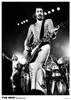 Who - Pete Townsend Live Rotterdam 1975 Poster Poster Print - Item # VARXPS1247