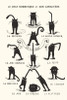 Le Chat Domestique Poster Print Black Cats Poster Poster Print - Item # VARXPSAP615