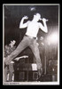 Dead Kennedys Lyceum Lyceum London 1981 Poster Print - Item # VARXPS0668