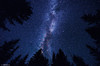 Milky Way At Night Poster Print