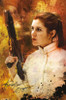 Princess Leia - Signature Poster Print - Item # VARTIARP15582
