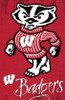 University of Wisconsin - Logo 13 Poster Print - Item # VARTIARP6162