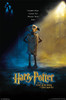 Harry Potter - Dobby Teaser Poster Print - Item # VARTIARP16733