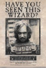 Harry Potter - Wanted Sirius Black Poster Print - Item # VARTIARP16744
