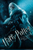 Harry Potter - Dumbledore Half Blood Poster Print