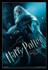 Harry Potter - Dumbledore Half Blood Poster Print