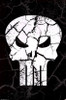 Punisher - Logo Poster Print - Item # VARTIARP2078