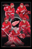 Detroit Red Wings_ - Team Poster Print - Item # VARTIARP16277