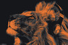 Lion - Headphones Poster Print - Item # VARTIARP17058