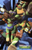 Teenage Mutant Ninja Turtles - Attack Poster Print - Item # VARTIARP5458