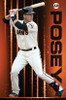 San Francisco Giants - Buster Posey 16 Poster Poster Print - Item # VARTIARP14721
