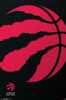 Toronto Raptors - Logo 18 Poster Print - Item # VARTIARP16954