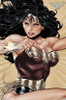 Wonder Woman - Hyper Poster Poster Print - Item # VARTIARP14294