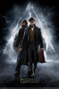 Fantastic Beasts 2 - Teaser Poster Print - Item # VARTIARP16892
