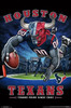 Houston Texans - End Zone Poster Print - Item # VARTIARP15981