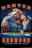 Denver Broncos - End Zone Poster Print - Item # VARTIARP15978