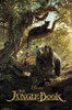 The Jungle Book - Man Cub Poster Poster Print - Item # VARTIARP14260