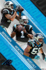 Carolina Panthers - Team 2015 Poster Print - Item # VARTIARP14246