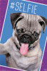 Pug - Selfie Poster Print - Item # VARTIARP13860