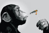 Steez Monkey Joint Time Poster Print (34 x 24) - Item # SCO5613