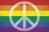 Pride And Peace Poster Print