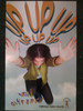 Ani DiFranco Up, Up, Up Poster - Item # RAR99910987