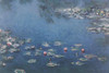 Monet - Waterlillies Poster Poster Print - Item # VARPYRAP623