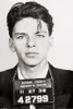 Frank Sinatra - Mugshot Poster Poster Print - Item # VARPYRPAS0688