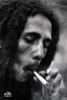 Bob Marley - Smoke Poster Poster Print - Item # VARPYRPP33638