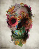 Flower Skull - Ali Gulec Poster Poster Print - Item # VARPSPPSA016825