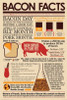 Bacon - Bacon Facts Poster Poster Print - Item # VARNMR241089