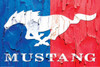 Ford - Mustang Logo Poster Poster Print - Item # VARNMR241265