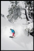 Snowboarder Under Tree Poster Print