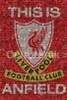 Liverpool Mosaic Poster Print (36 X 24) - Item # IMPST5581R