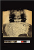 Radiohead - Amnesiac Poster Print (24 x 36) - Item # IMPST2898