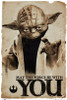 Star Wars Yoda May the Force Be With You Poster Poster Print by - Item # VARGBEFP2961