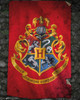 Harry Potter Hogwarts Flag Poster Poster Print - Item # VARGBEMP1992