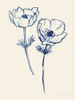 Ink Anemones I Poster Print - Sara Zieve Miller # VARPDX73676